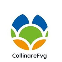 Tourism Friuli Collinare